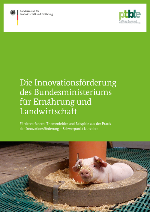 Broschüre Innovationsförderung