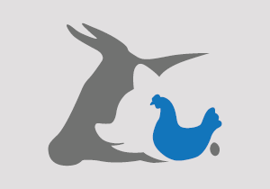 Einsatzbereiche Parkhäuser