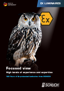Ex-protected luminaires