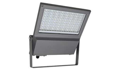 7800 RF (FOCO XL)