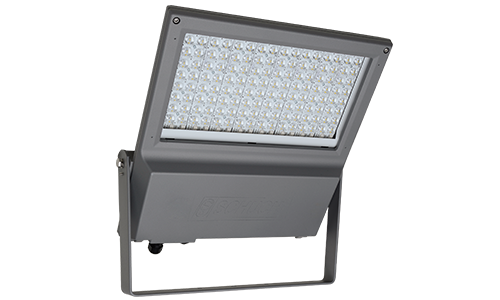 nD8800 (ExFOCO XL)